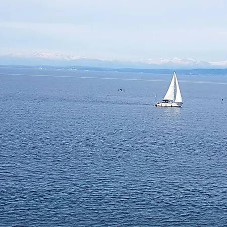 Dream Near Sea